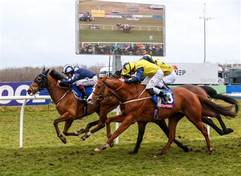 horse racing outsider of the day|'The new trip can unlock improvement' .